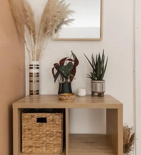 Apartmán « le Boheme Chic » Nîmes