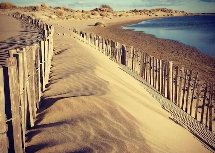 « le Boheme Chic »